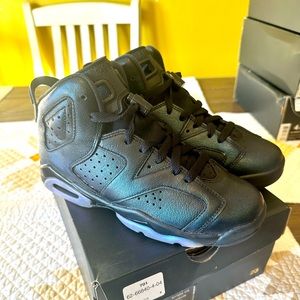 Air Jordan 6 Chameleon